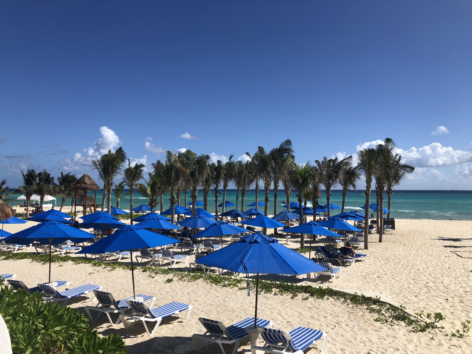 The Reef Playacar